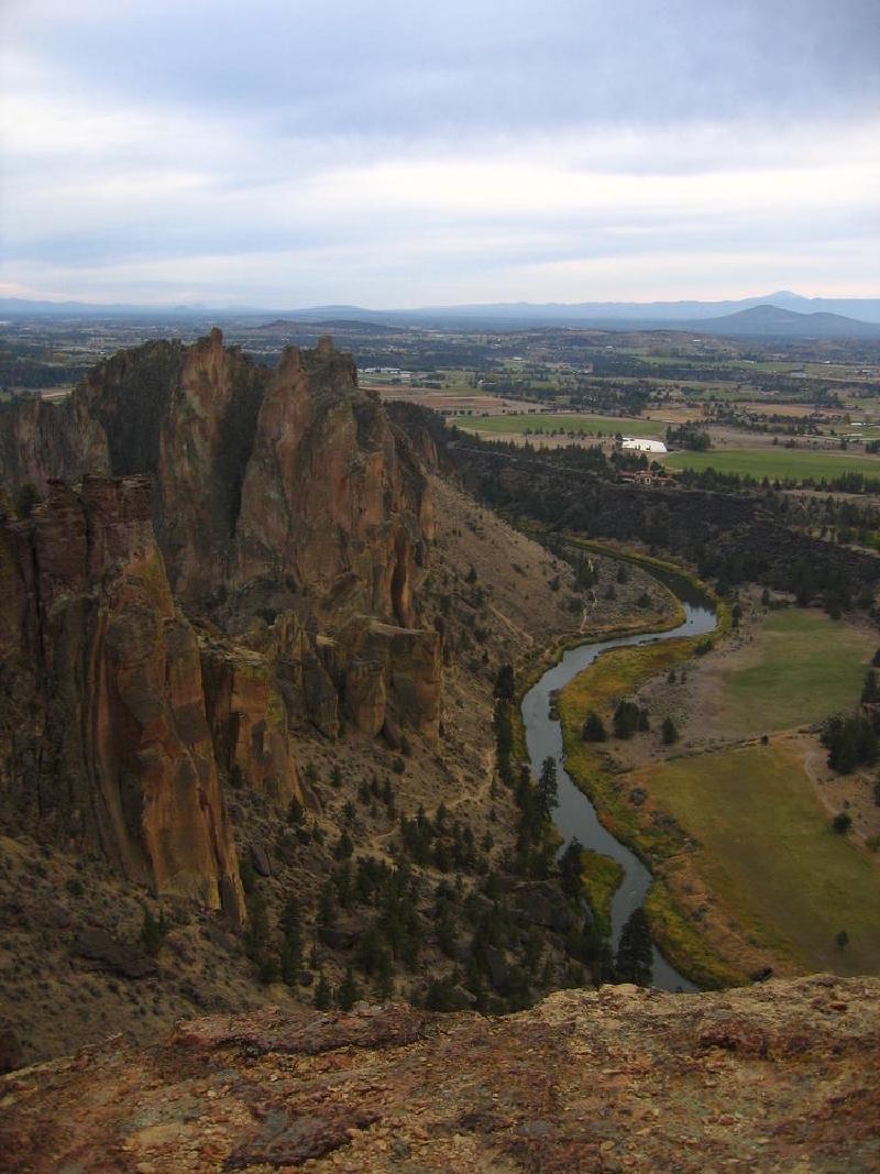 gallery/monkey_face_29.jpg