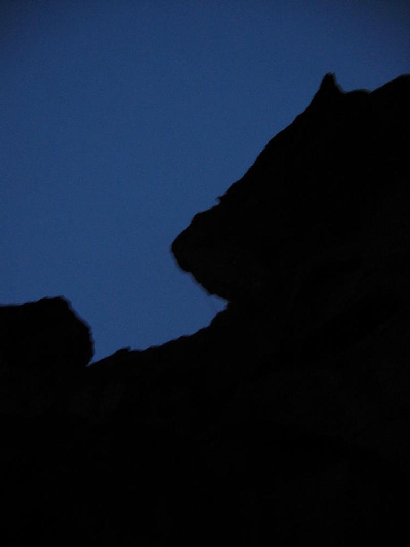 gallery/monkey_33.jpg