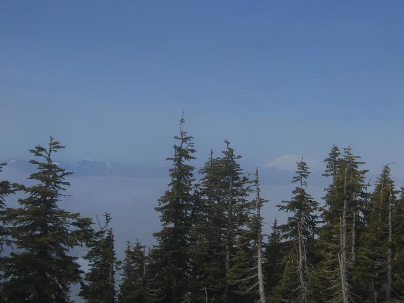 gallery/mt_defiance_III_04.jpg