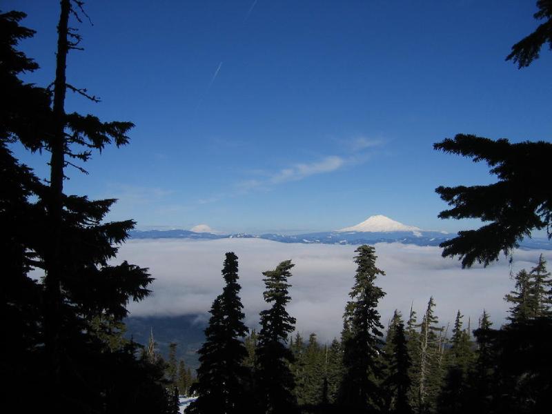 gallery/mt_defiance_III_06.jpg