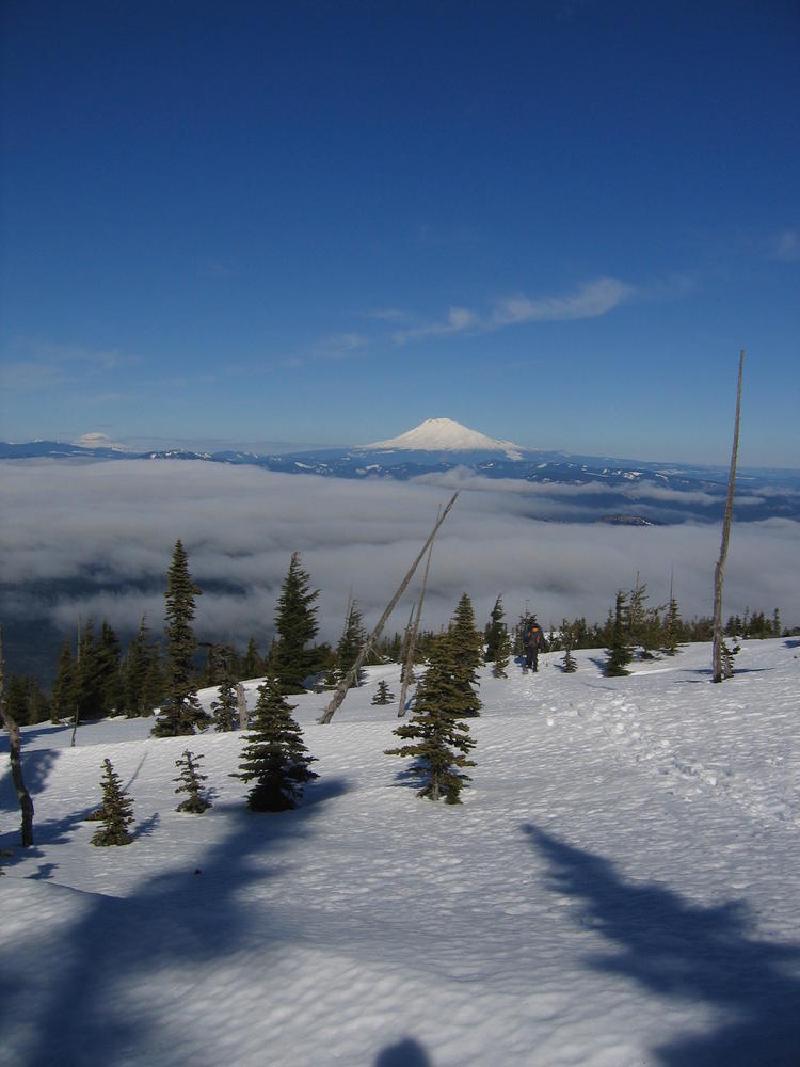 gallery/mt_defiance_III_12.jpg