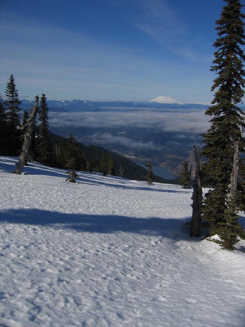 gallery/mt_defiance_III_13.jpg