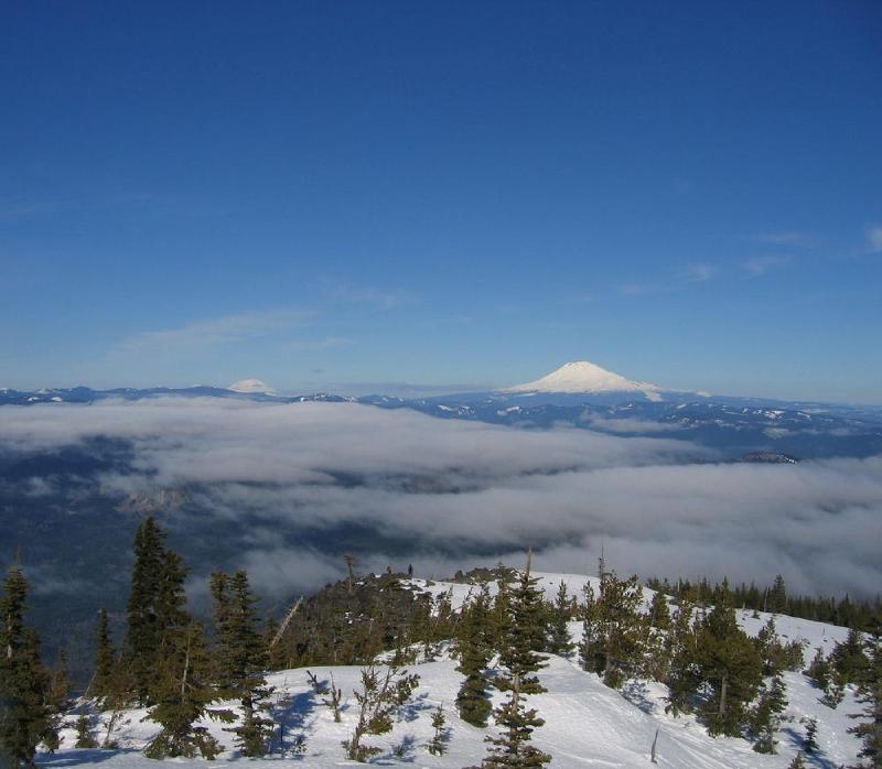 gallery/mt_defiance_III_19.jpg