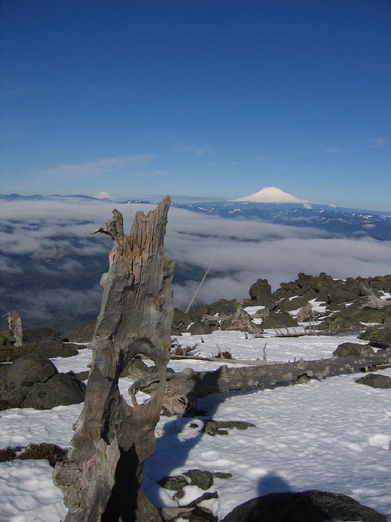 gallery/mt_defiance_III_20.jpg