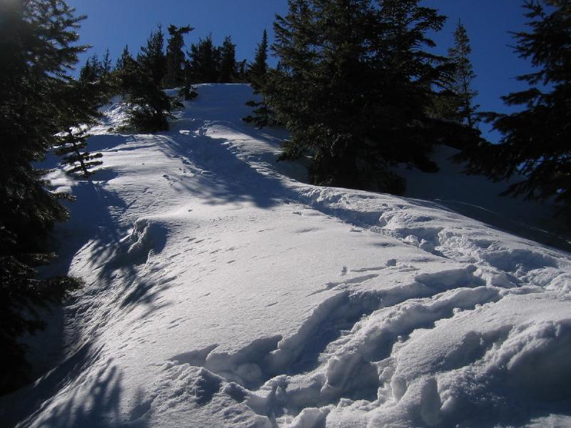 gallery/mt_defiance_IV_02.jpg