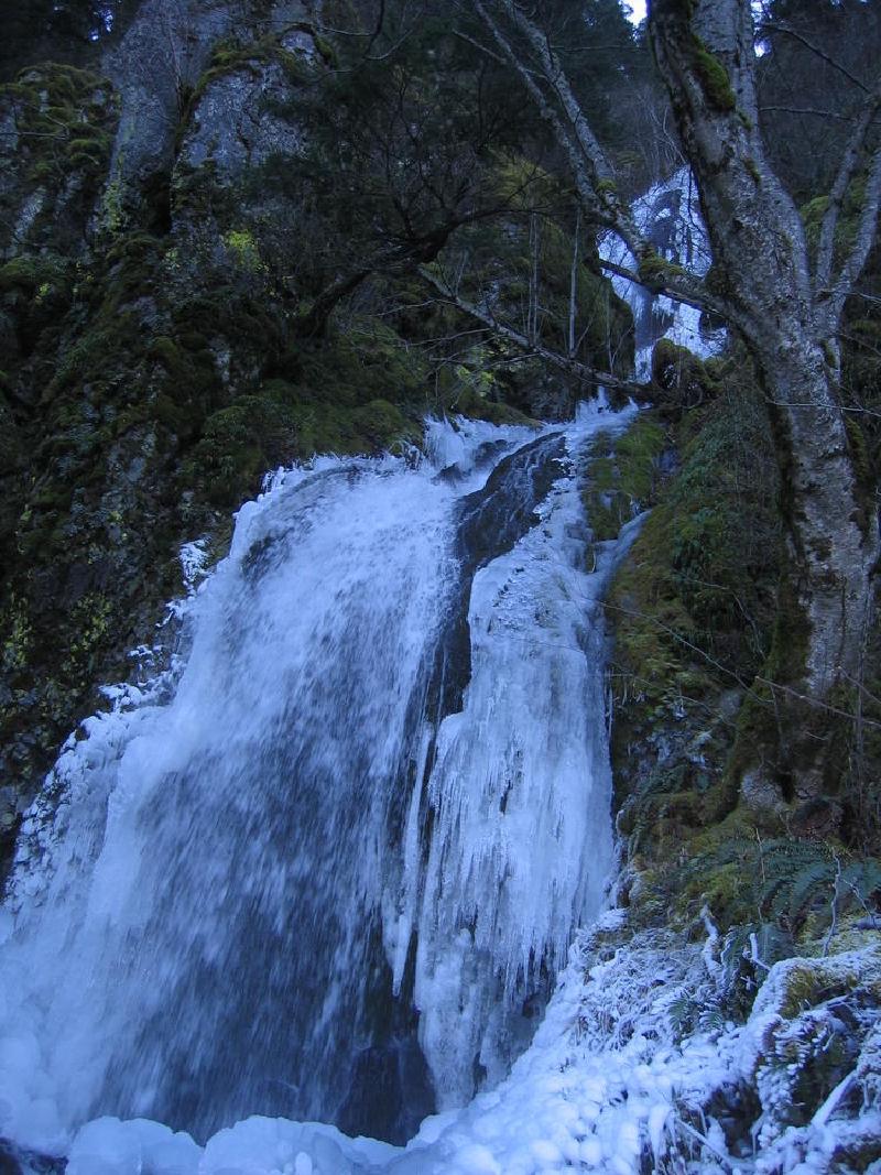 gallery/mt_defiance_IV_12.jpg