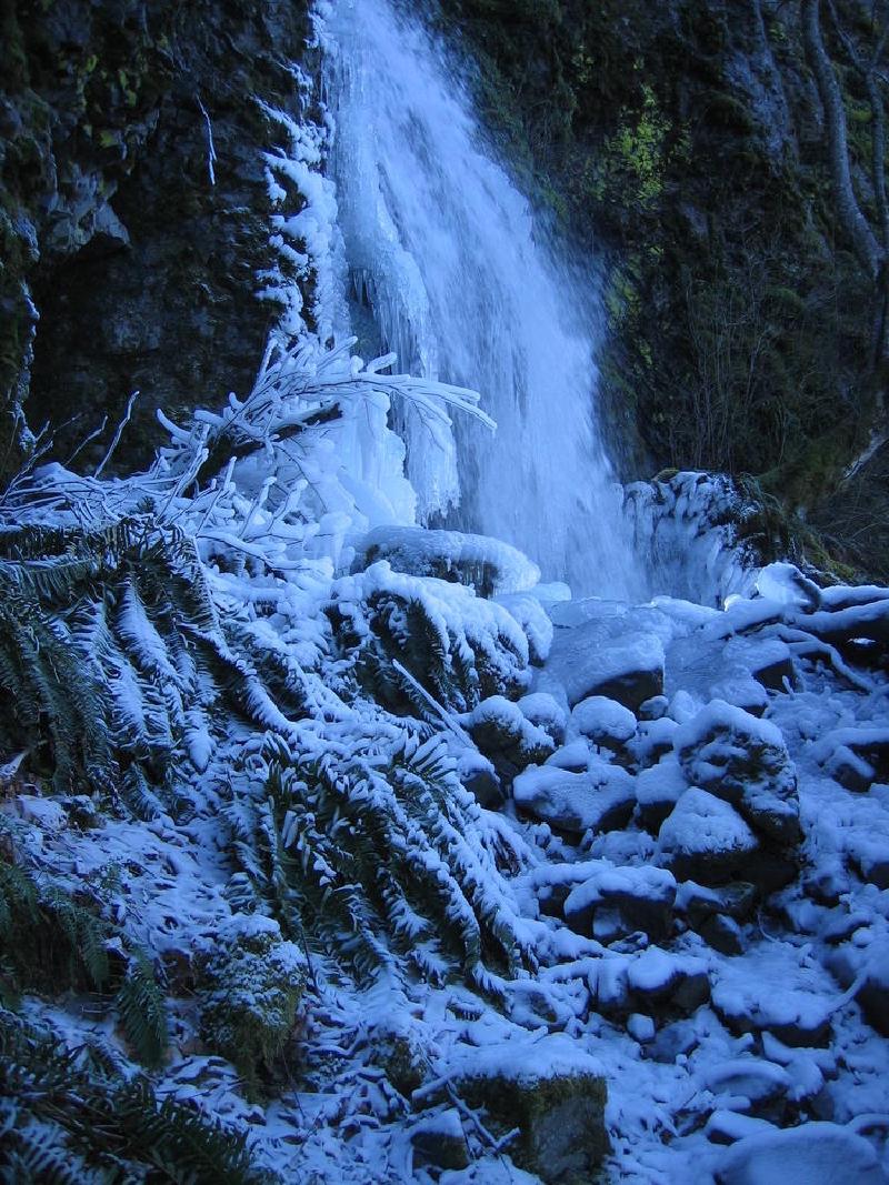 gallery/mt_defiance_IV_18.jpg