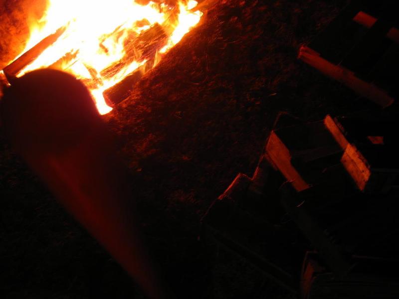 gallery/pig_roast_04.jpg
