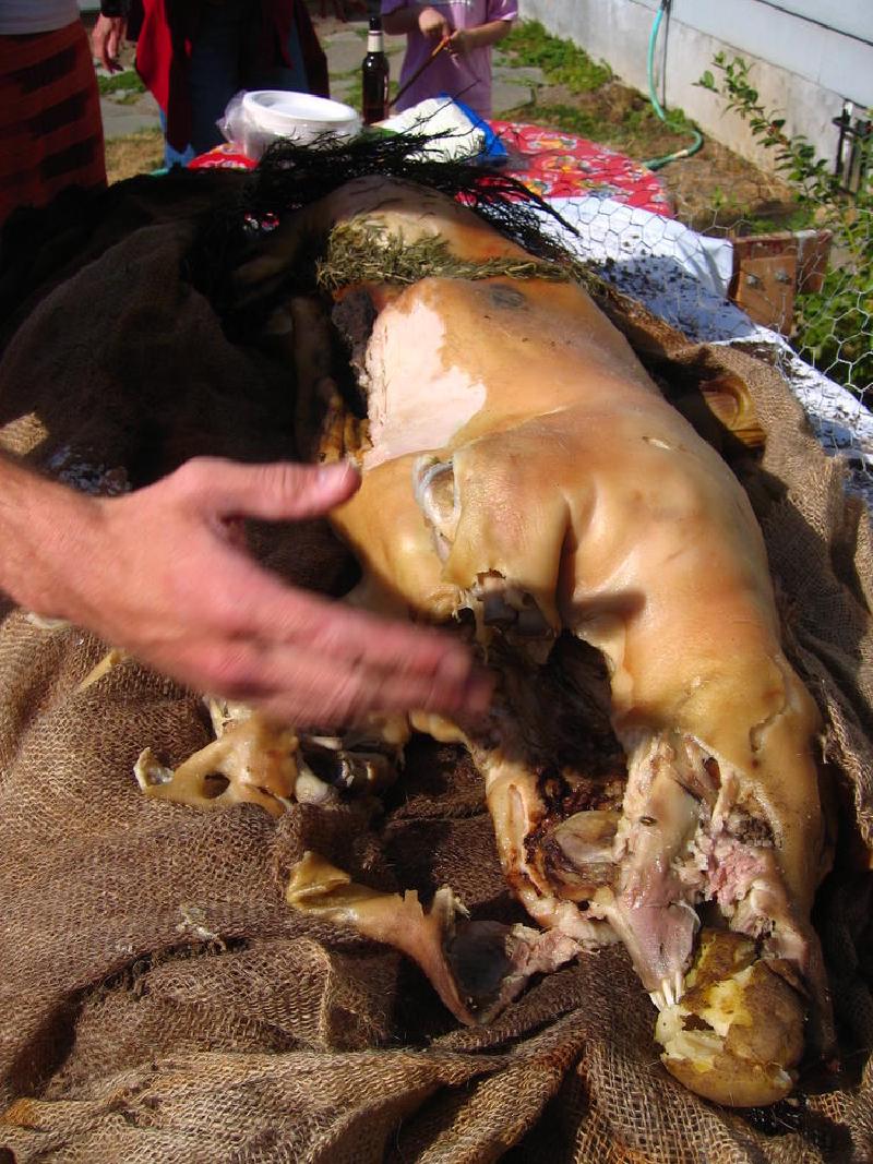 gallery/pig_roast_14.jpg