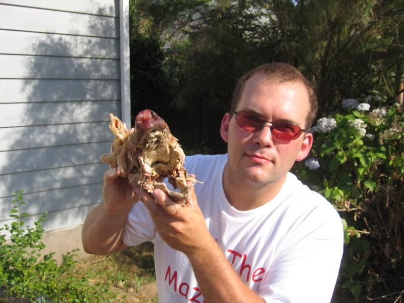 gallery/pig_roast_37.jpg