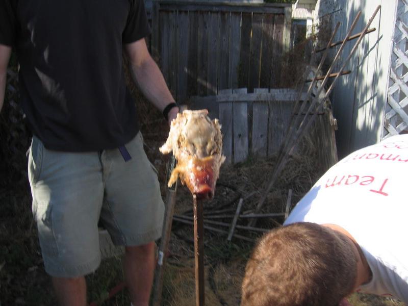 gallery/pig_roast_44.jpg