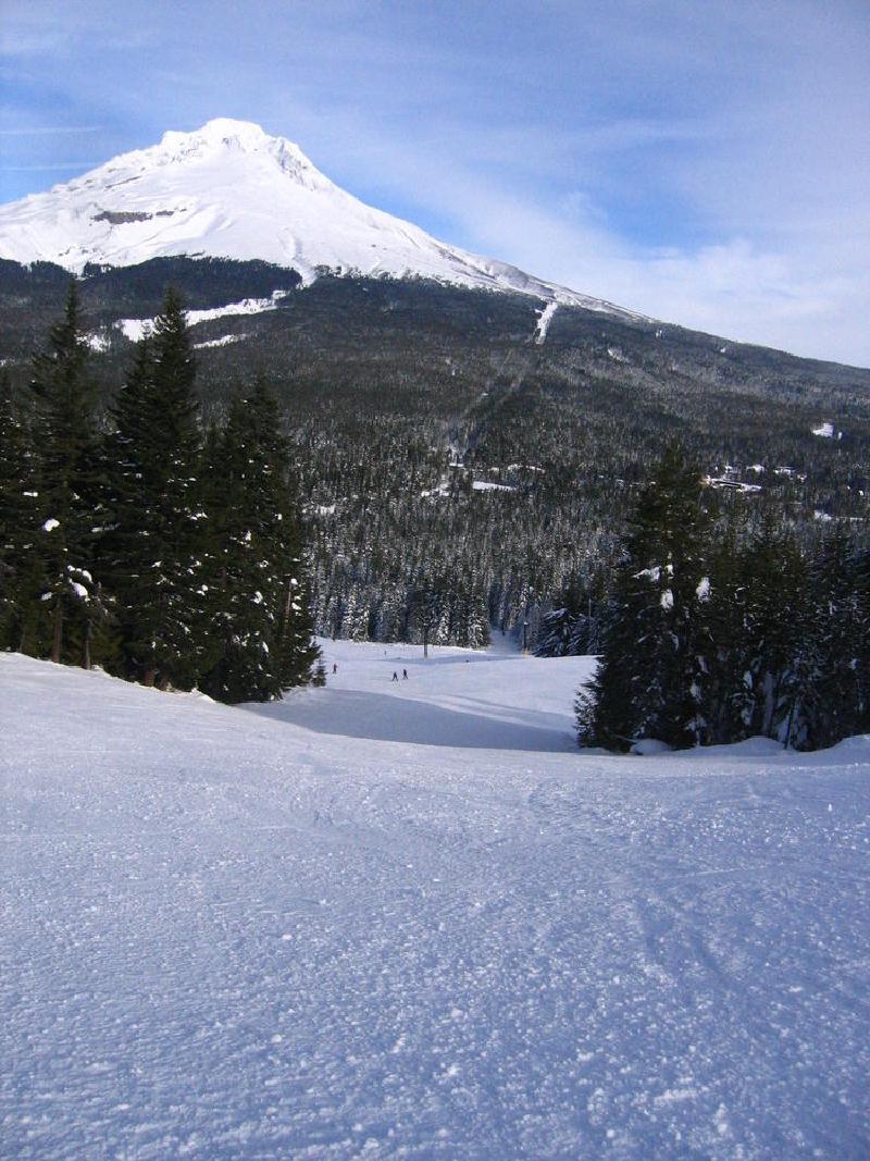 gallery/skiBowl_1_05.jpg