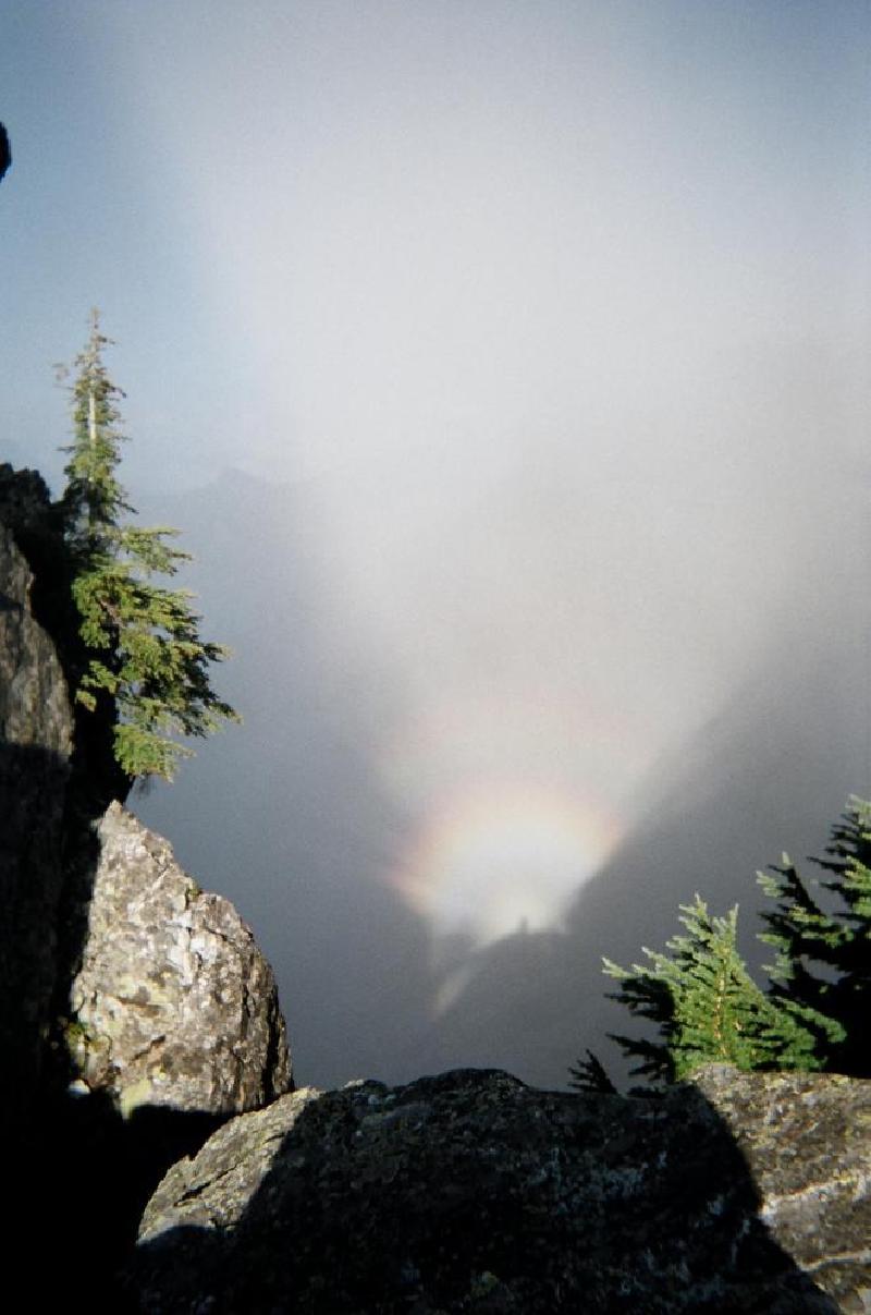 gallery/the_tooth_43.jpg