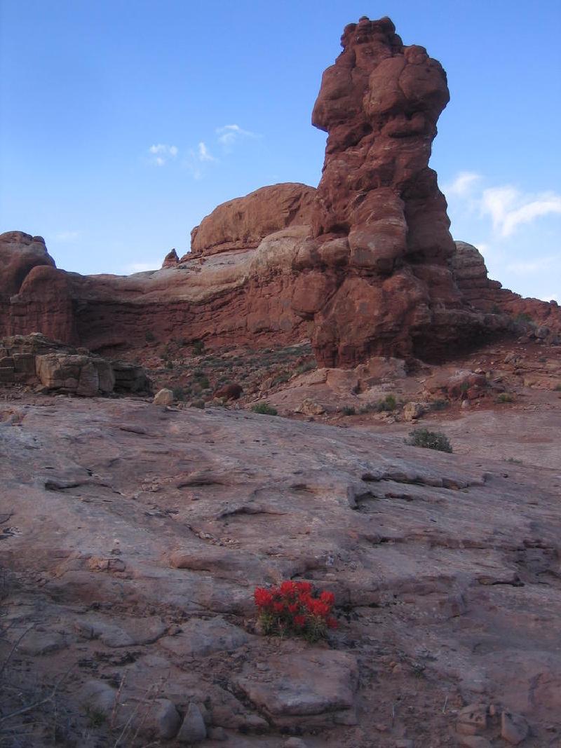 gallery/arches_06.jpg