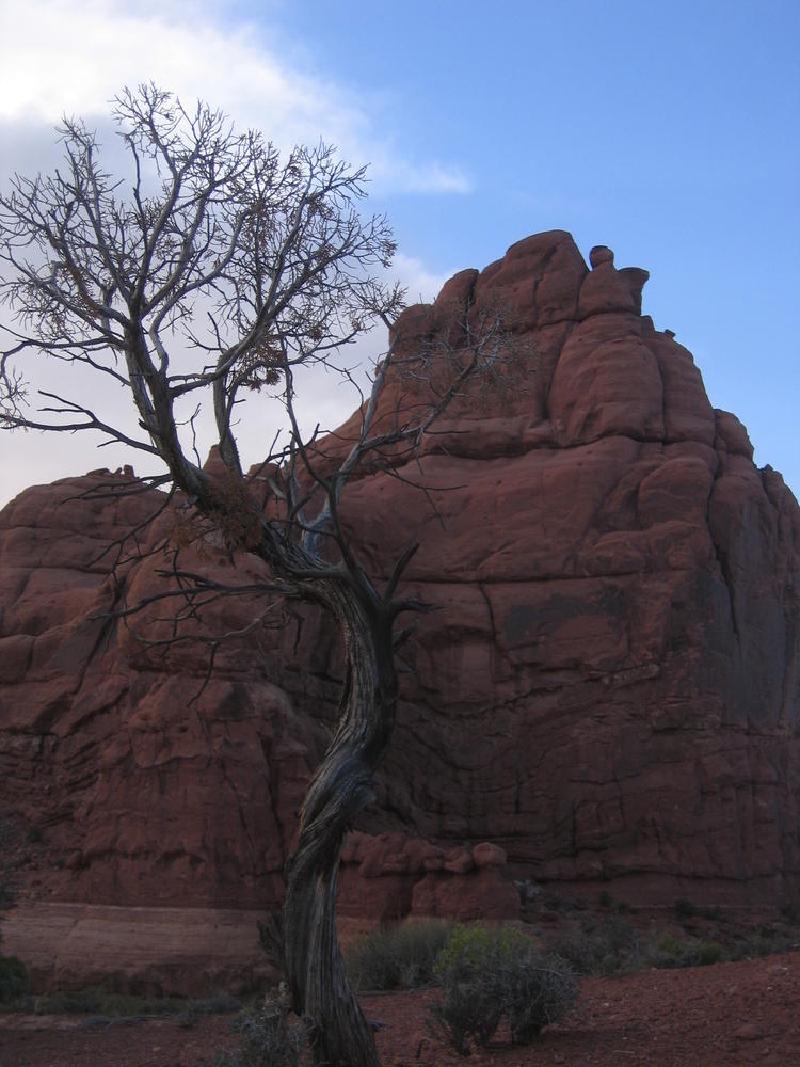 gallery/arches_19.jpg