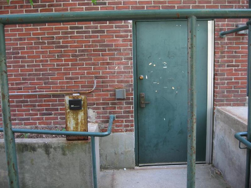 gallery/brown_028.jpg