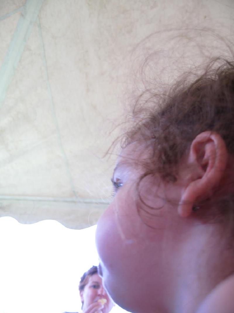 gallery/brown_030.jpg