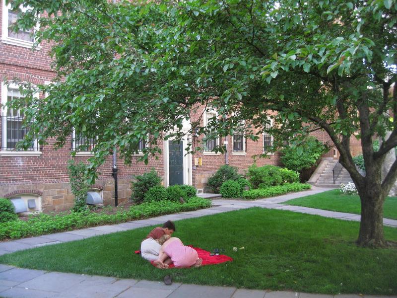 gallery/brown_035.jpg