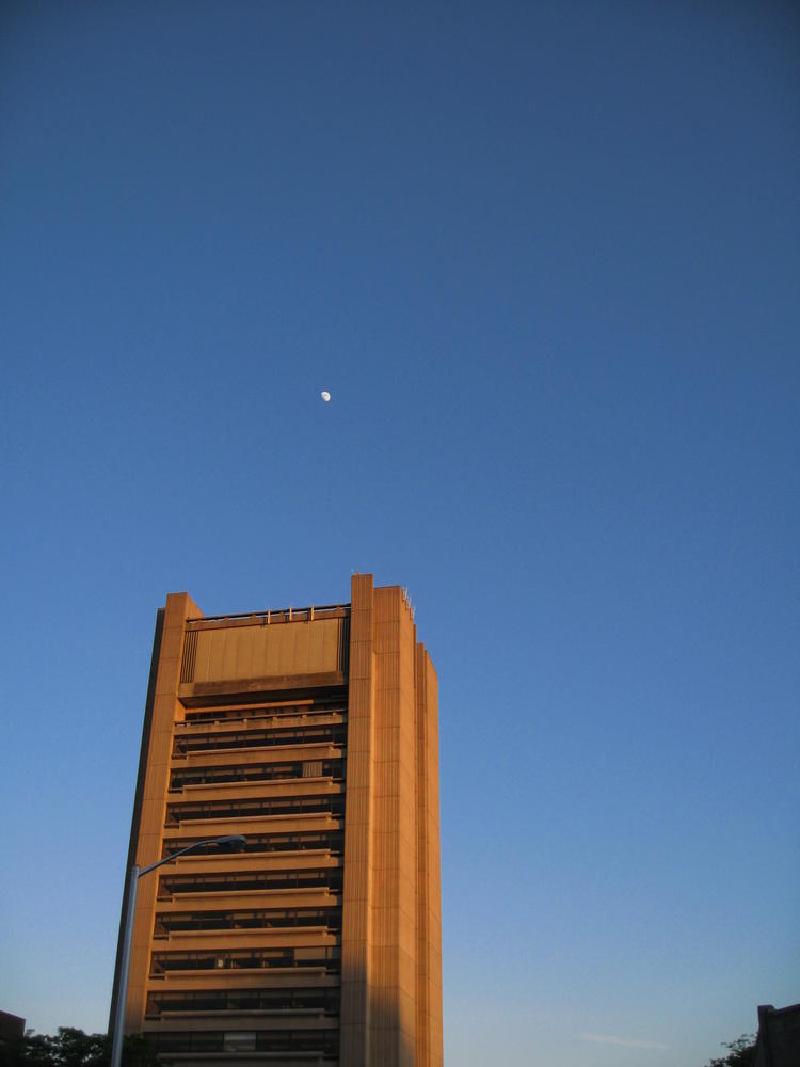 gallery/brown_039.jpg