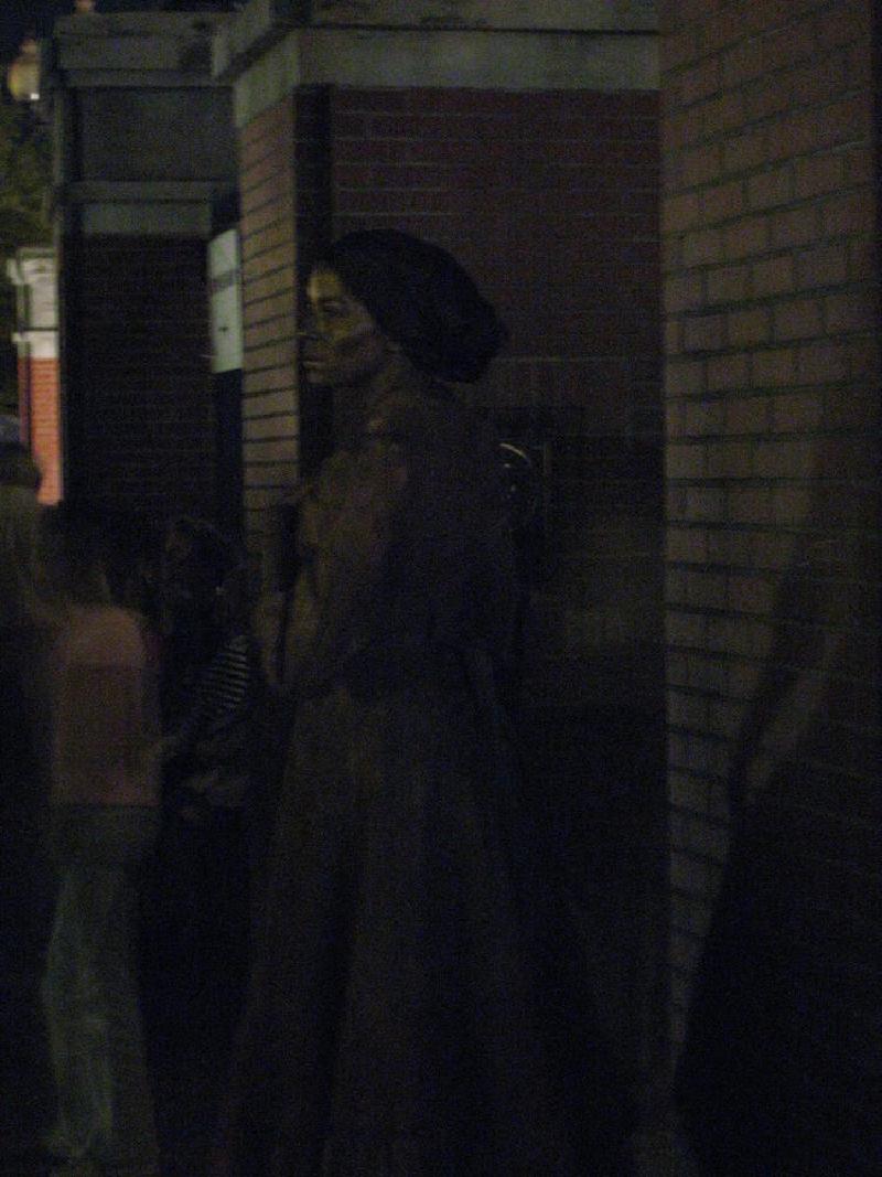 gallery/brown_045.jpg