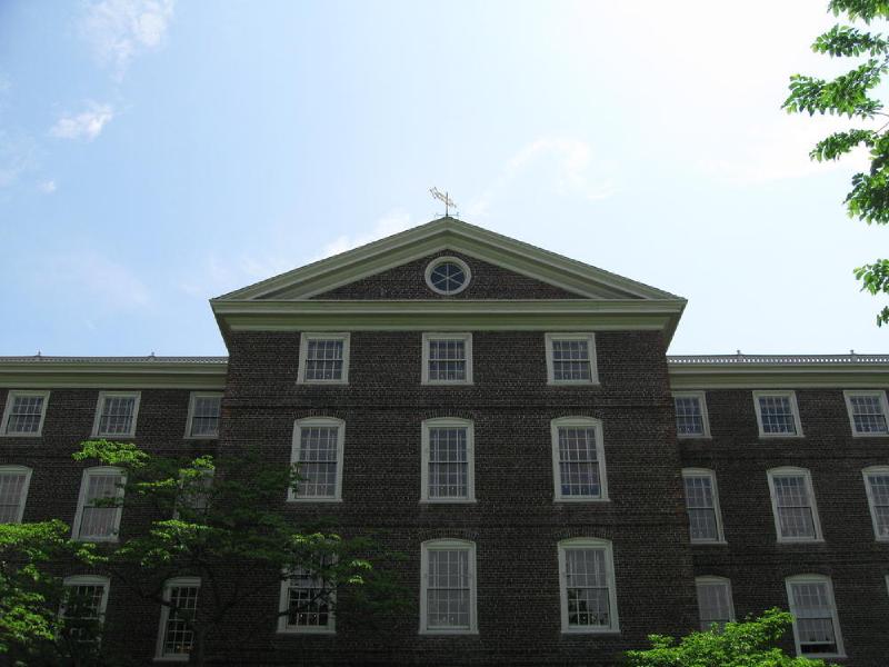gallery/brown_062.jpg