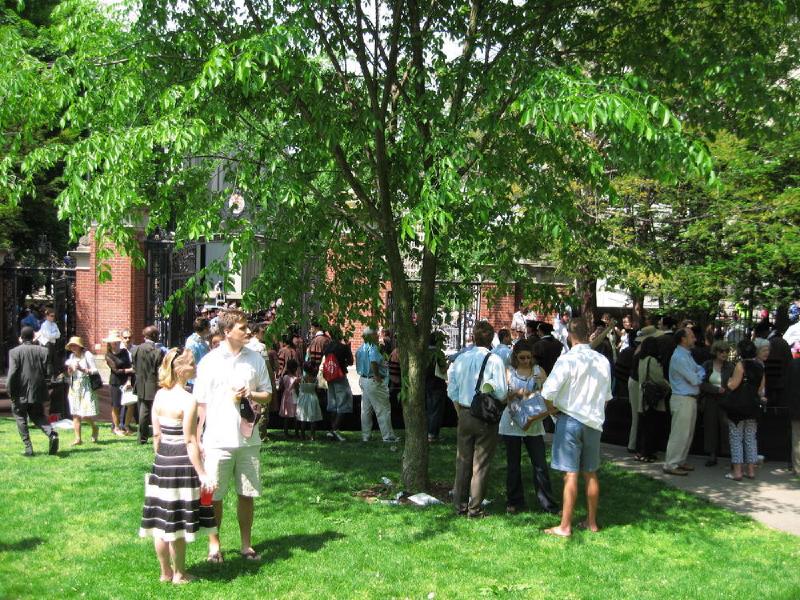 gallery/brown_063.jpg