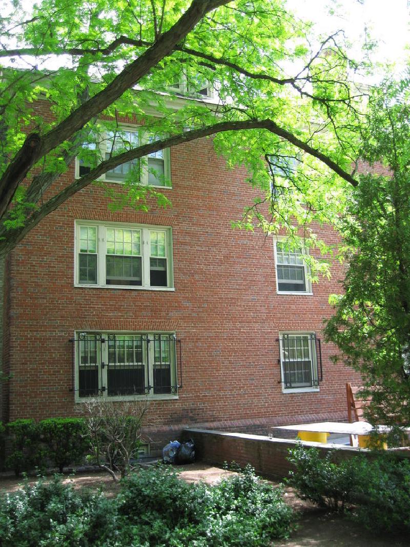 gallery/brown_066.jpg