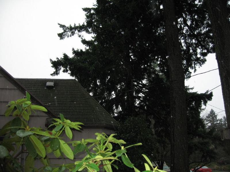 gallery/christmas_016.jpg