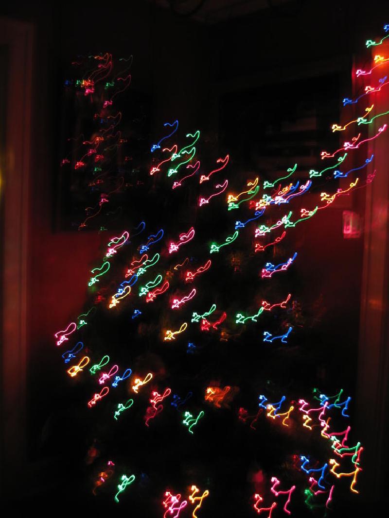 gallery/xmas_tree_05.jpg