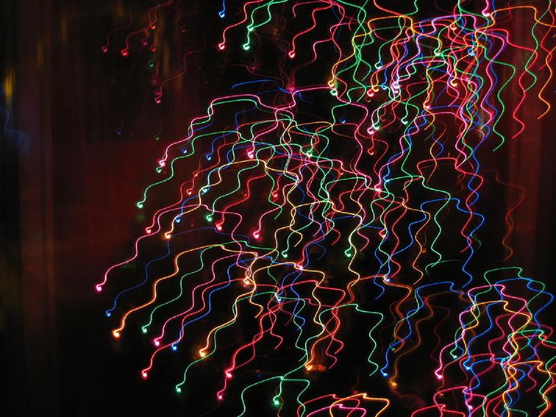 gallery/xmas_tree_07.jpg