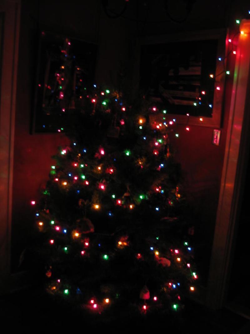 gallery/xmas_tree_08.jpg