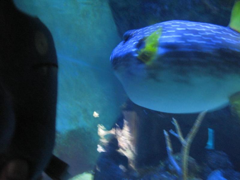 gallery/ding_028.jpg