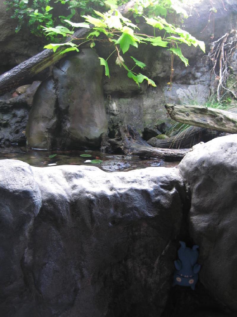 gallery/ding_034.jpg