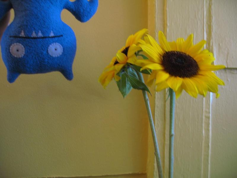 gallery/ding_085.jpg