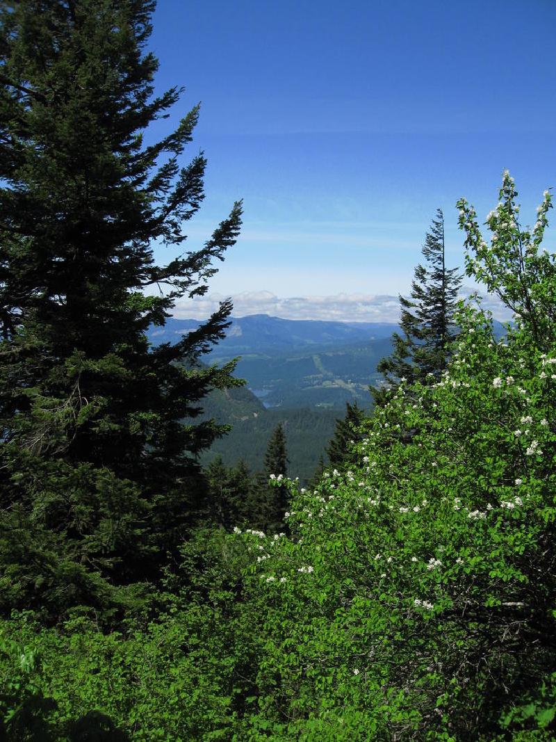 gallery/dog_mountain_06.jpg