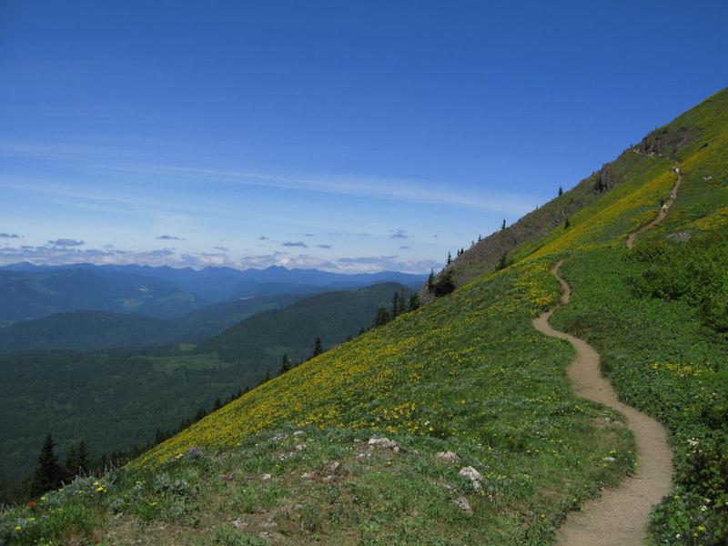 gallery/dog_mountain_19.jpg