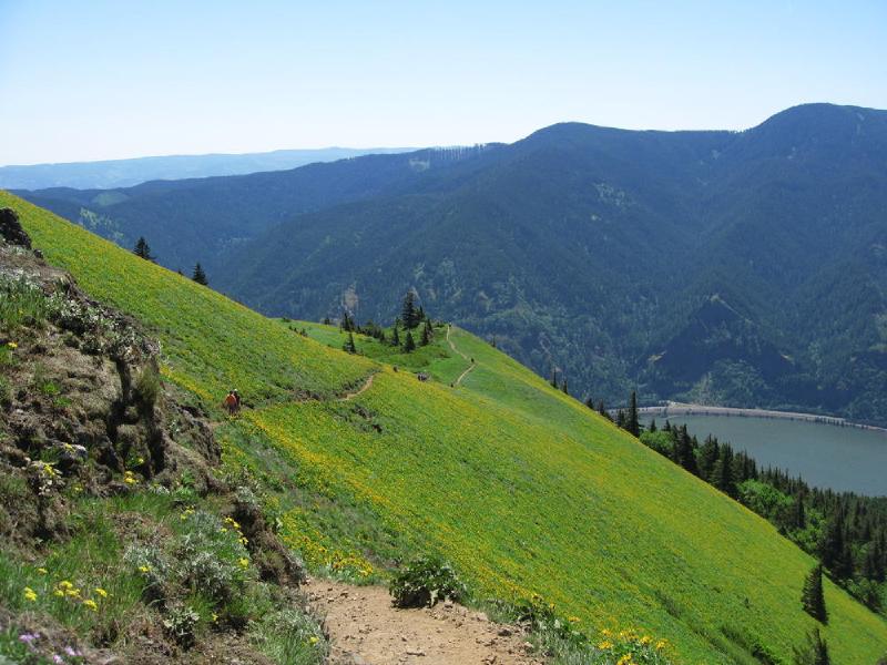 gallery/dog_mountain_20.jpg