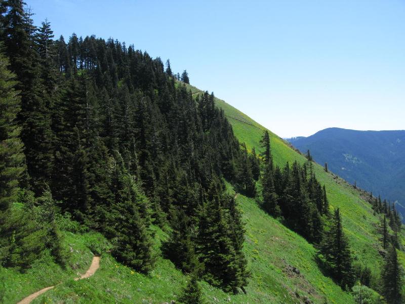 gallery/dog_mountain_26.jpg