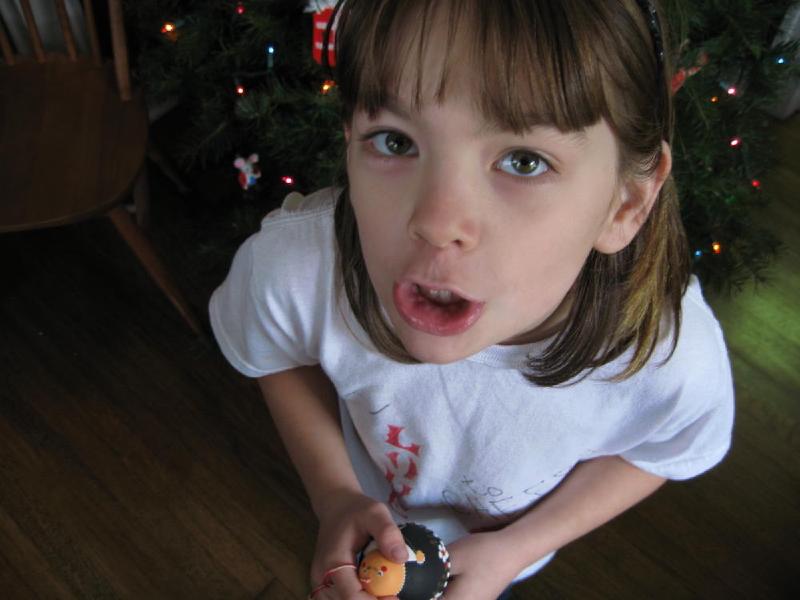 gallery/gingerbread_08.jpg