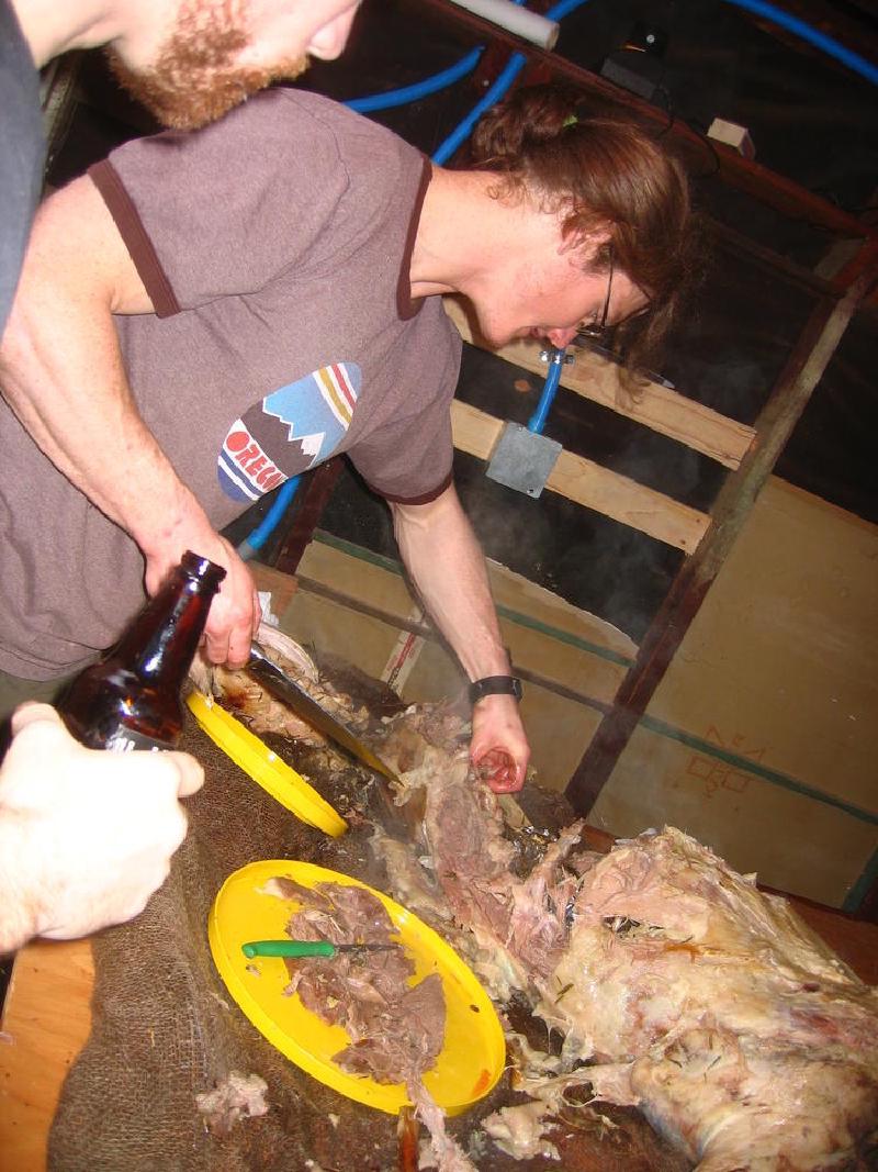 gallery/lamb_20.jpg
