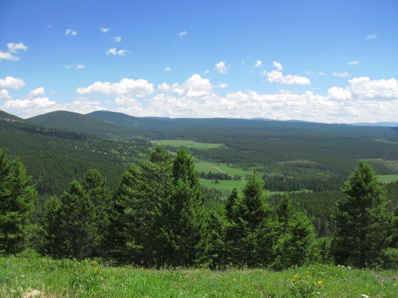 gallery/montana_008.jpg
