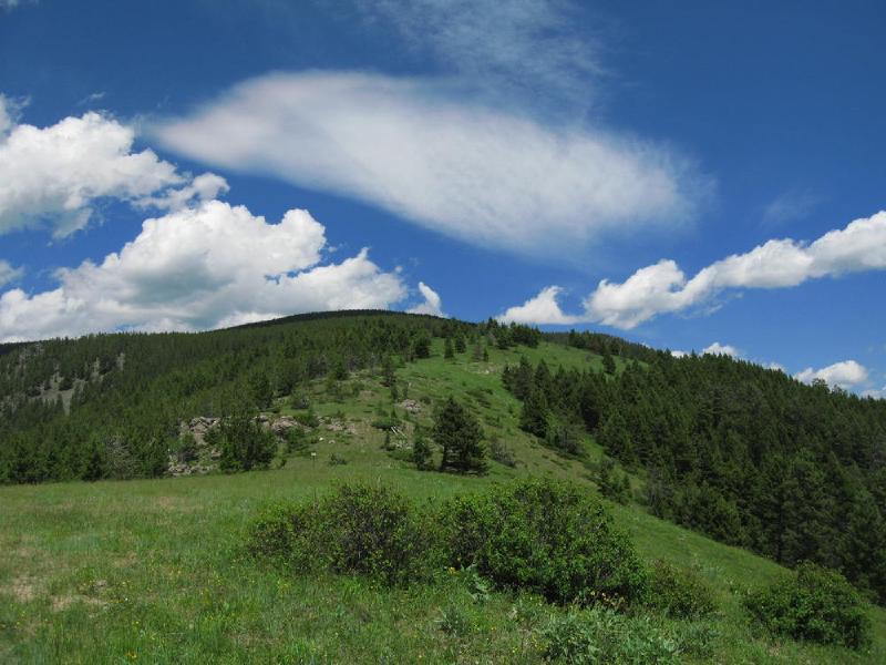 gallery/montana_009.jpg