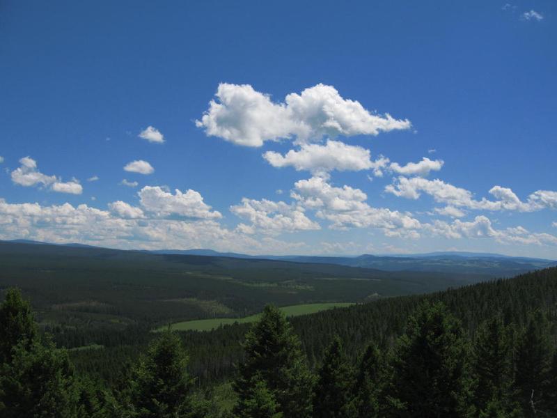 gallery/montana_018.jpg