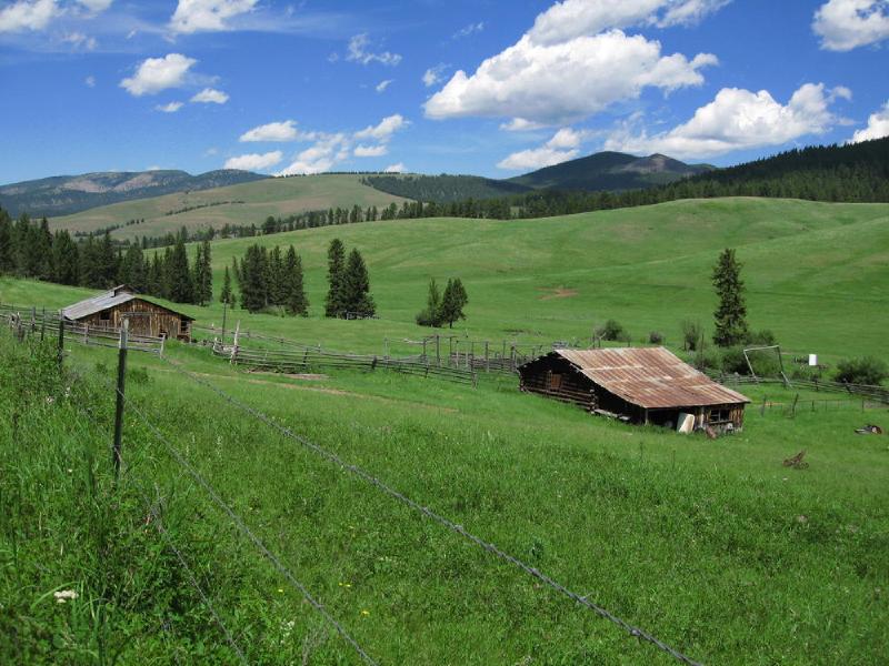 gallery/montana_024.jpg