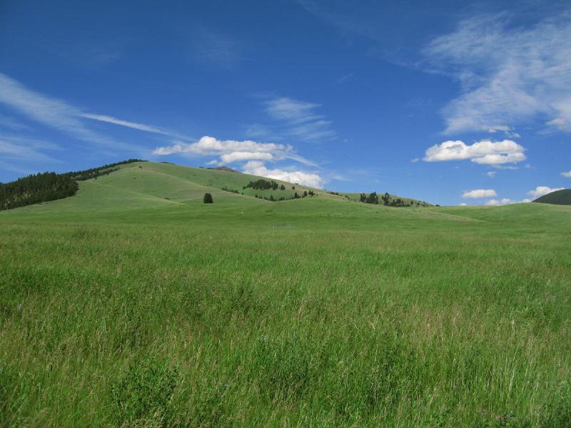 gallery/montana_039.jpg
