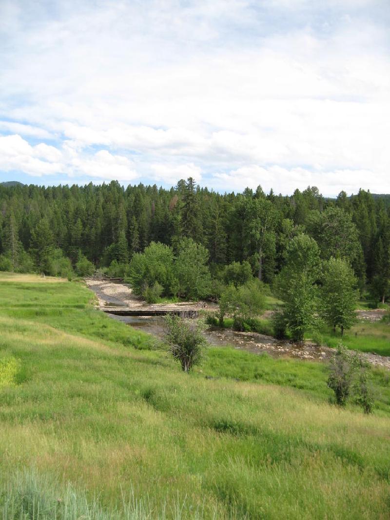 gallery/montana_048.jpg