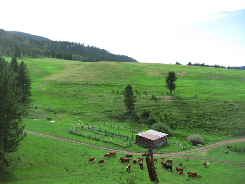 gallery/montana_059.jpg