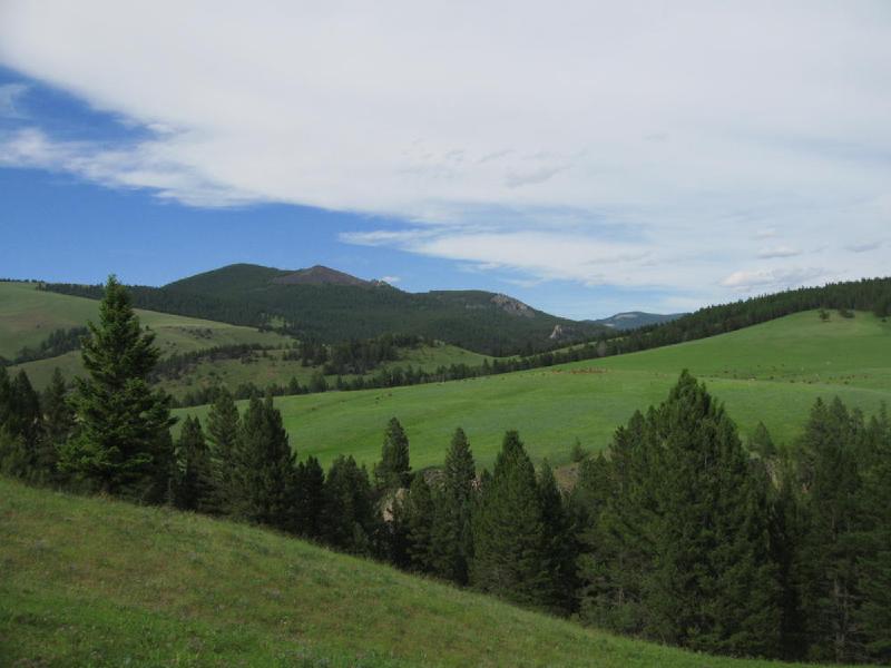 gallery/montana_061.jpg