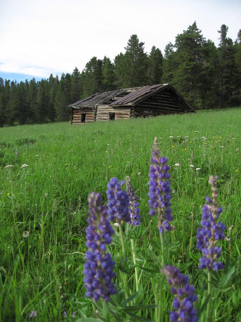 gallery/montana_075.jpg