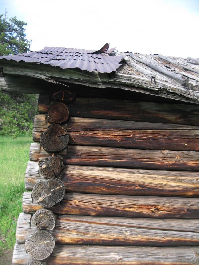 gallery/montana_085.jpg